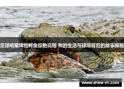 足球明星宠物鳄鱼惊艳亮相 牠的生活与球场背后的故事揭秘 足球明星宠物鳄鱼惊艳亮相 牠的生活与球场背后的故事揭秘